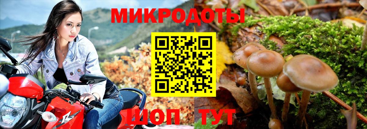 где найти   Галлюциногенные грибы прущие грибы  Вход с VPN  Псков 